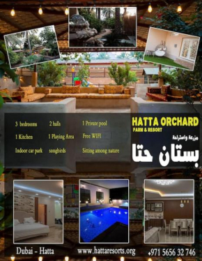 Hatta Orchard